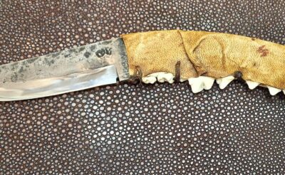 Eyrieux Nicolas mâchoire de coyote avec peau