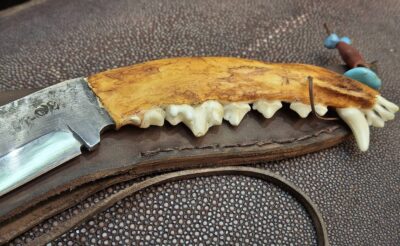 Eyrieux Nicolas mâchoire de coyote teinté