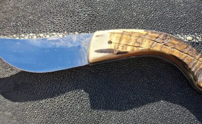 José Viale Berger Corse 12cm cran carré, corne de bélier noire, lame inox.