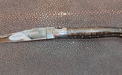 Laguiole en Aubrac, 12cm Os de Mammouth.